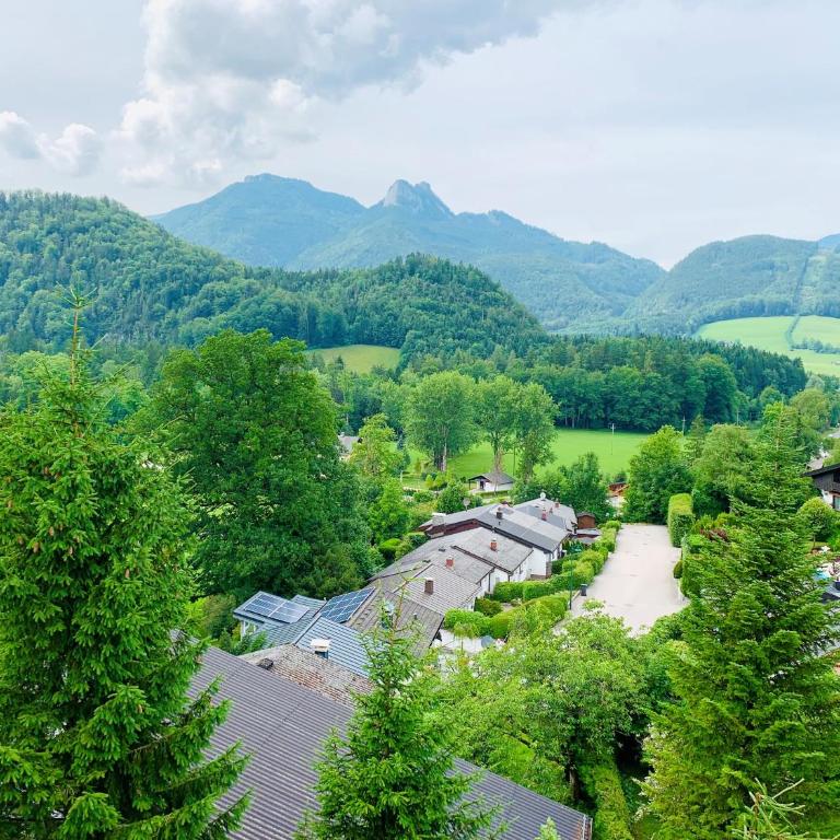 Buchenblick - Apartment mit 1 Schlafzimmer - 22