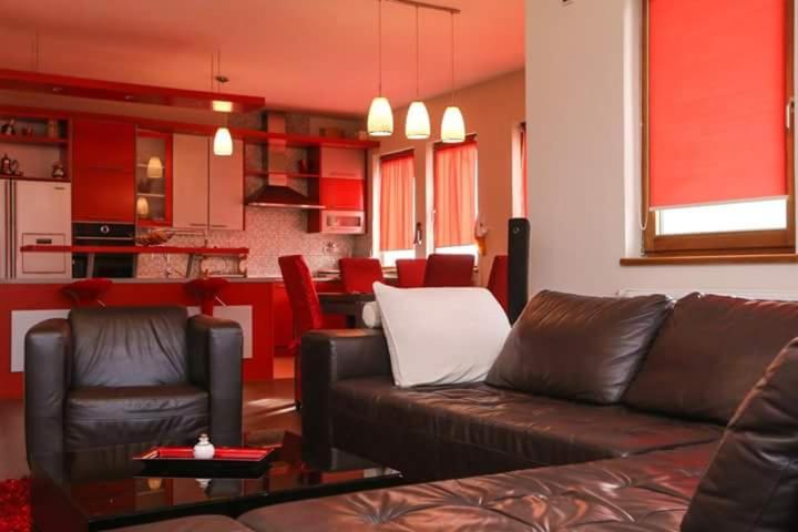 Apartments Malkoc Lux - Apartment - 5
