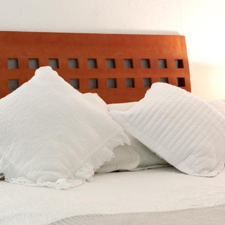 Suite 1-B El Rincón Garden House, Welcome To San Angel - Apartment - 1