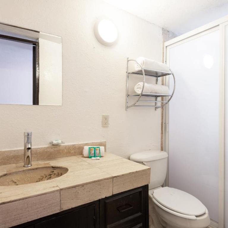 Suite 1-B El Rincón Garden House, Welcome To San Angel - Apartment - 19