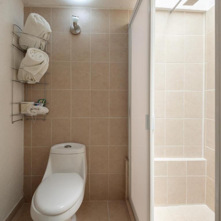 Suite 5B, Cultura, Garden House, Welcome to San Angel - Apartment - 23