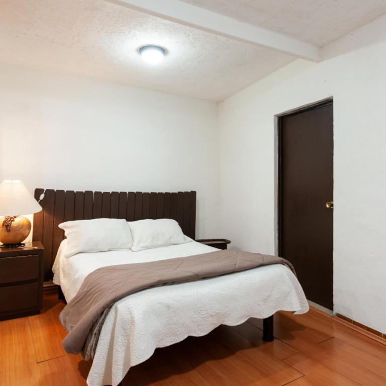 Suite 5A, Altavista, Garden House, Welcome to San Angel - Apartment - 8