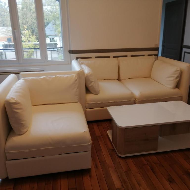 Agréable 2 pièces proche de la Loire - Appartement 1 Chambre - 1