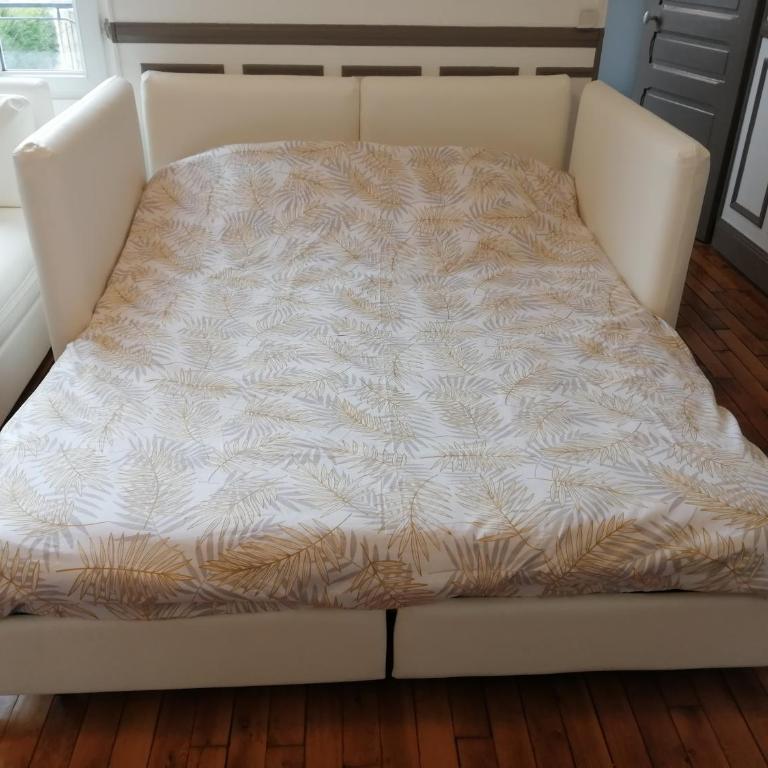 Agréable 2 pièces proche de la Loire - Appartement 1 Chambre - 12
