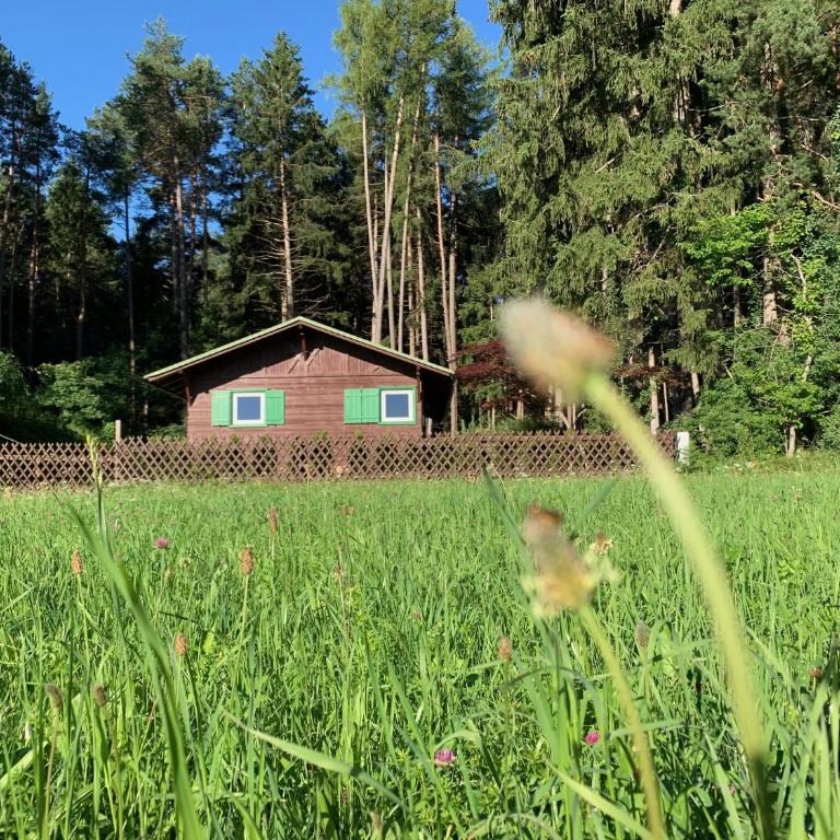 Waldchalet am Eichhof - Two-Bedroom Chalet - 26