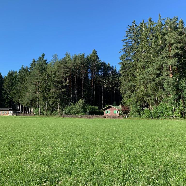Waldchalet am Eichhof - Two-Bedroom Chalet - 56