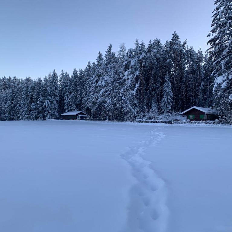 Waldchalet am Eichhof - Two-Bedroom Chalet - 52