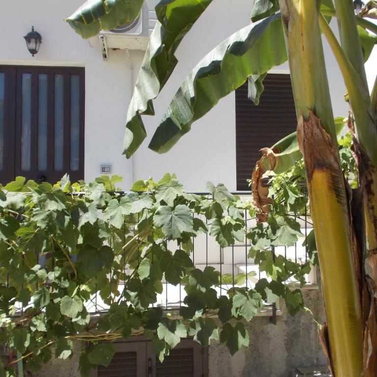 Villa Il Melograno - Casa con 1 Camera da Letto - 12