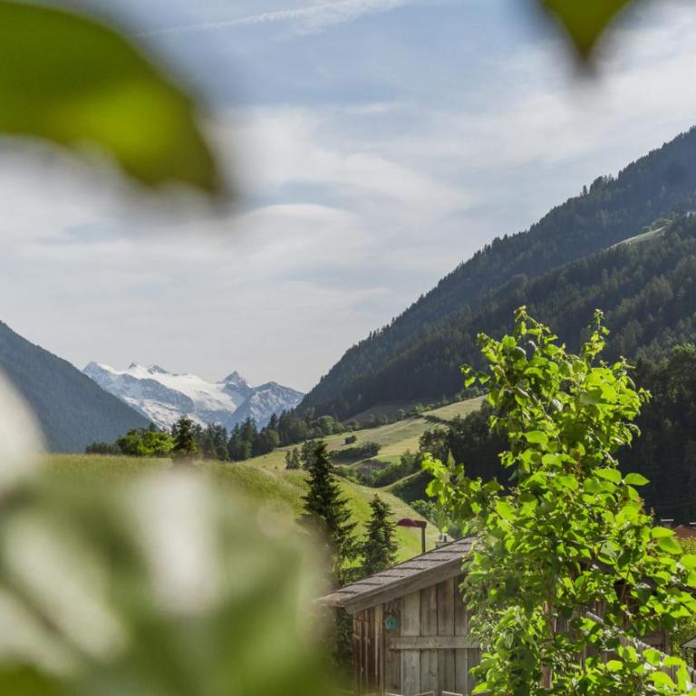 Alpen Apart Stubaital - Apartment mit 1 Schlafzimmer - 32