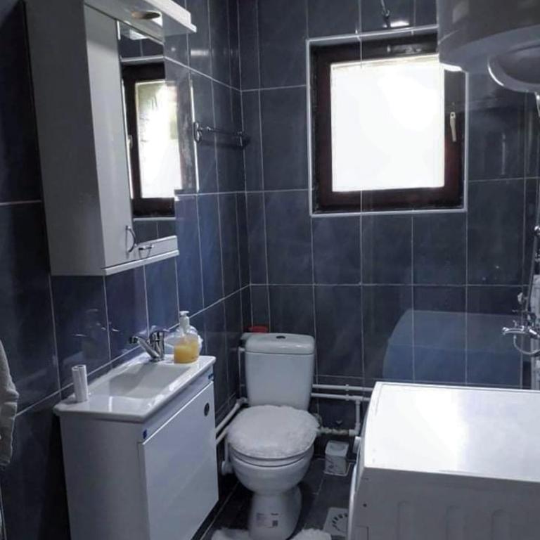 Studio Apartman Atila Sokobanja - Apartman sa 1 Spavaćom Sobom - 9