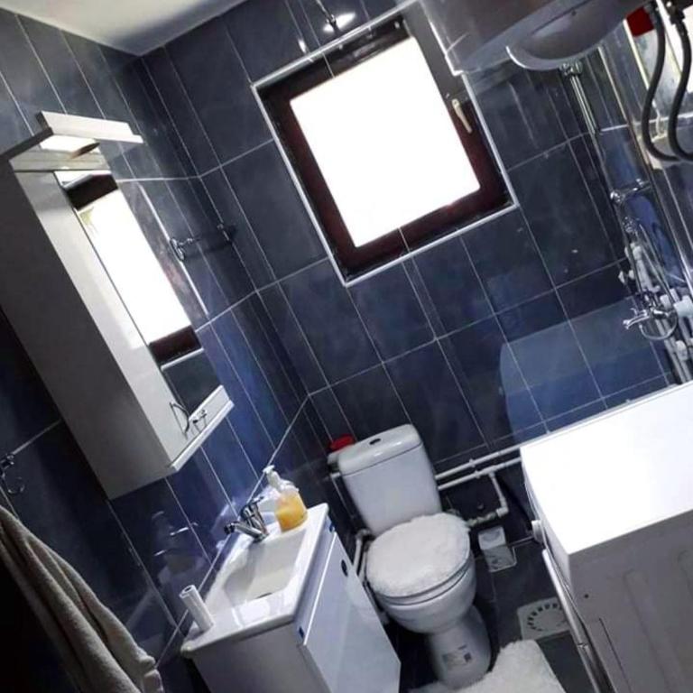 Studio Apartman Atila Sokobanja - Apartman sa 1 Spavaćom Sobom - 12