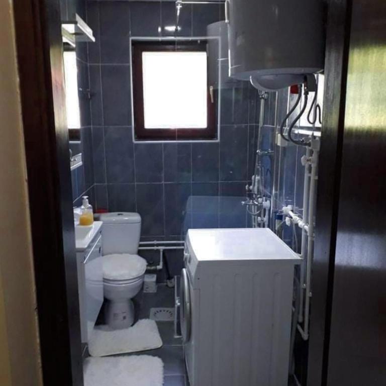 Studio Apartman Atila Sokobanja - Apartman sa 1 Spavaćom Sobom - 13