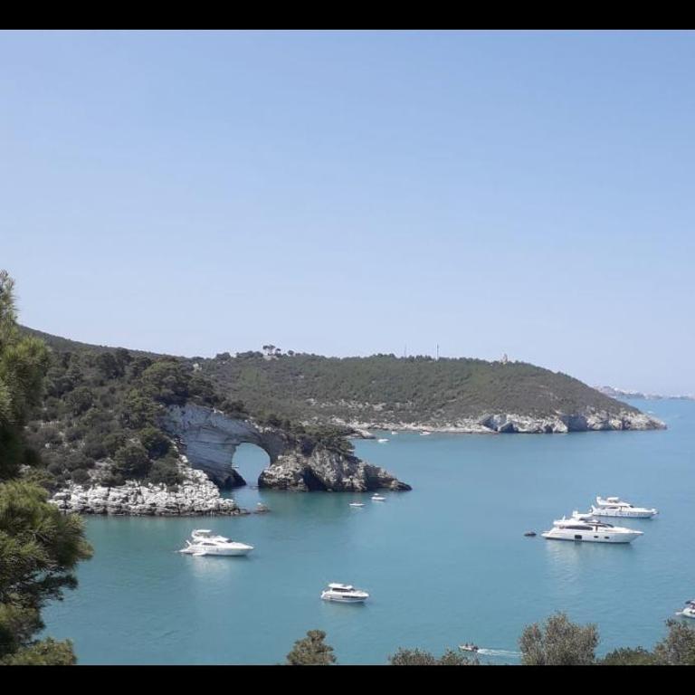 La perla del Gargano home Vieste - Appartamento con 2 Camere da Letto - 12