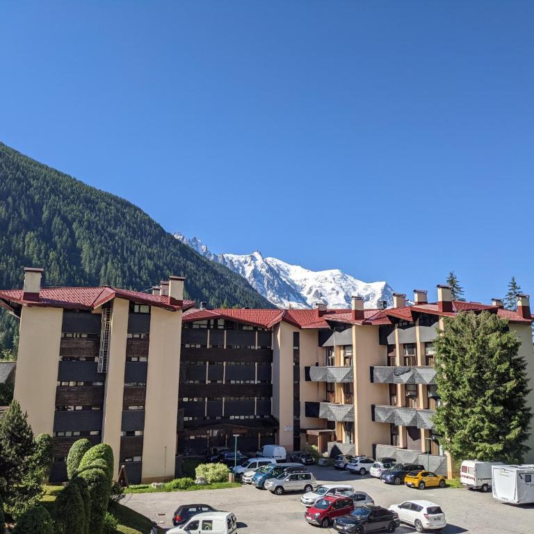 Duplex Argentière, 50m2, 6 pers, idéalement placé - Appartement 2 Chambres - 13