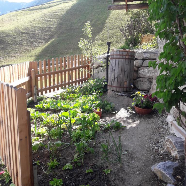 Hofstatthof - Apartamento con vistas a las montañas - 14