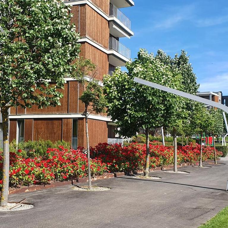 APARTAMENTO PIRINEO DE HUESCA, JACA, FORMIGAL, PANTICOSA - Apartment mit 2 Schlafzimmern - 13