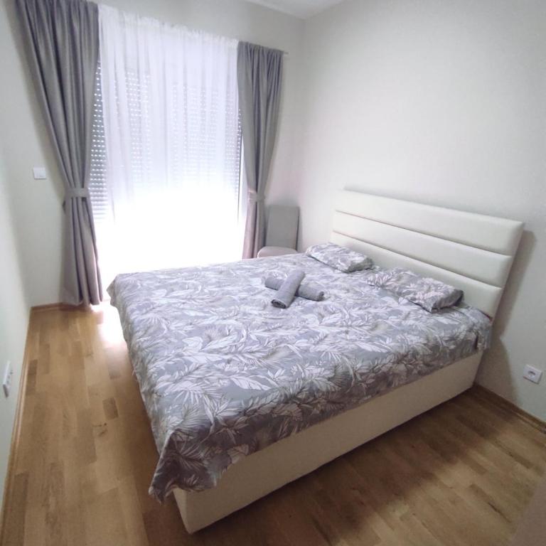 Harmony Apartments - One-Bedroom Apartment - 1
