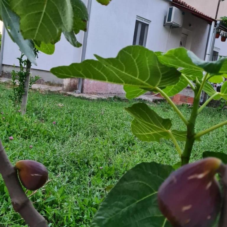 AparDibra - One-Bedroom Apartment - 13