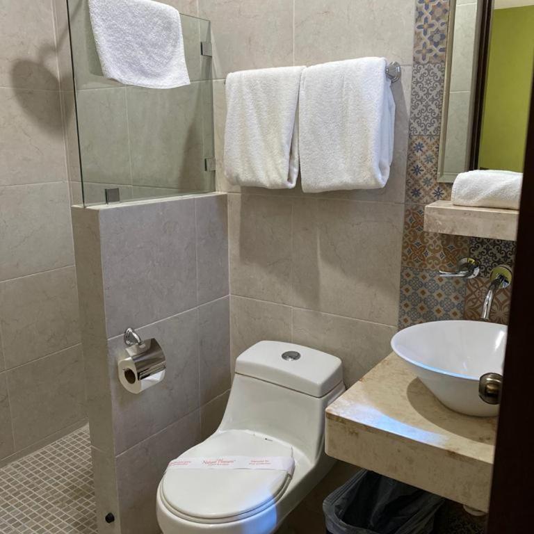 Hotel Las Monjas - Standard Double Room with Two Double Beds - 4