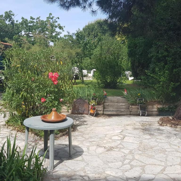 Appart 31 m2 indépendant, Piscine Jardin Direct Gare Aéroport et jardin - One-Bedroom Apartment - 23