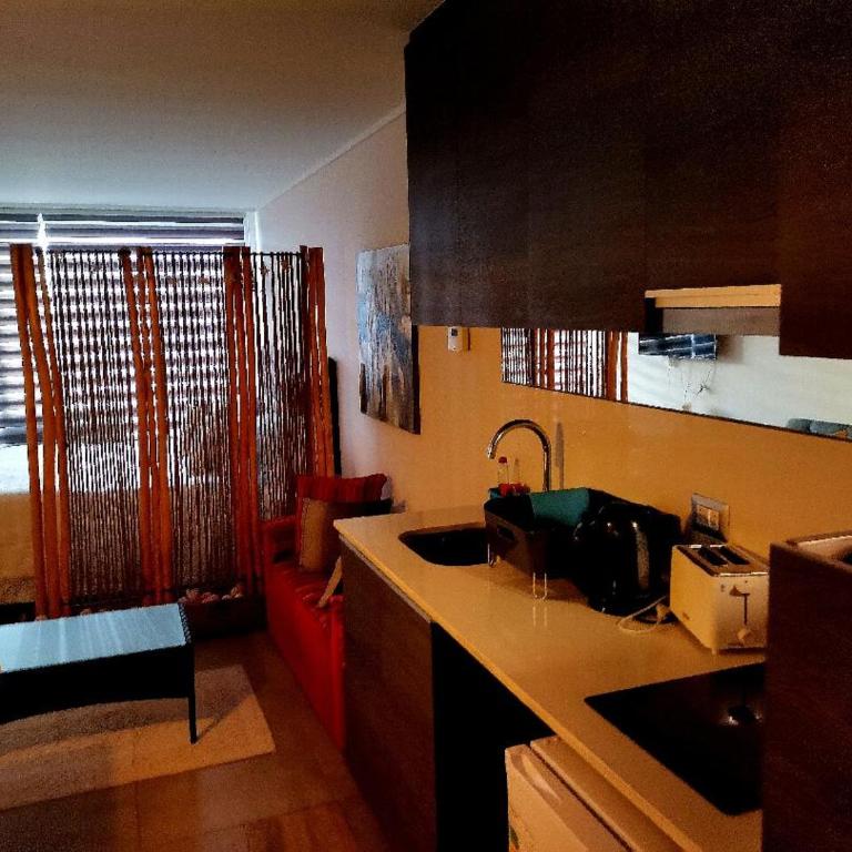 Departamento Reñaca maravillosa vista al mar - Apartamento - 52