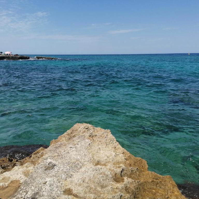Trullo il Zippo in Zippitello - Casa con 3 Camere da Letto - 61