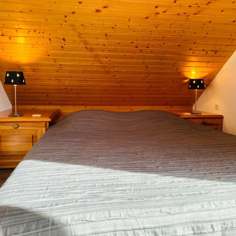 Chalet Gentiane - Chalet - 7