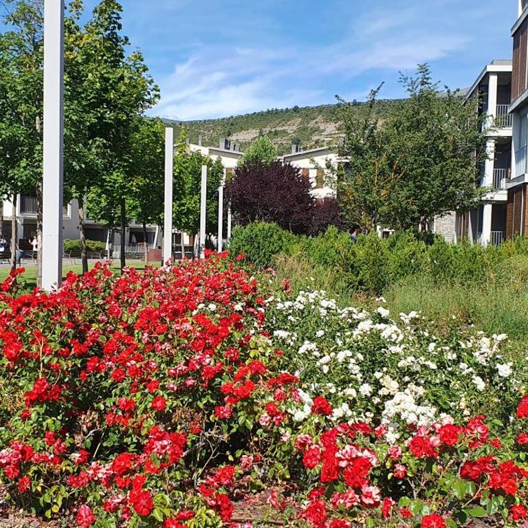 APARTAMENTO PIRINEO DE HUESCA, JACA, FORMIGAL, PANTICOSA - Apartment mit 2 Schlafzimmern - 26