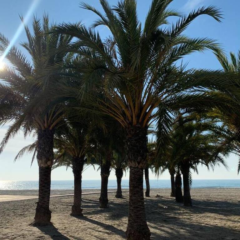 Alicante Santa Pola Bord de plage 3 chambres oran - Apartamento de 3 dormitorios - 14