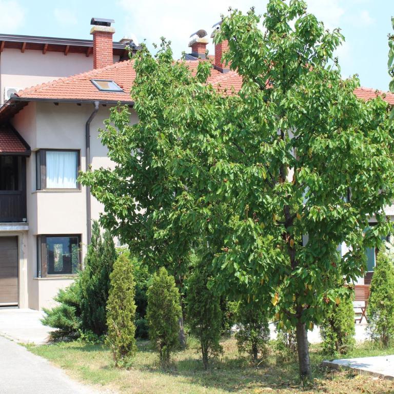 Villa Čengić - Vila - 39