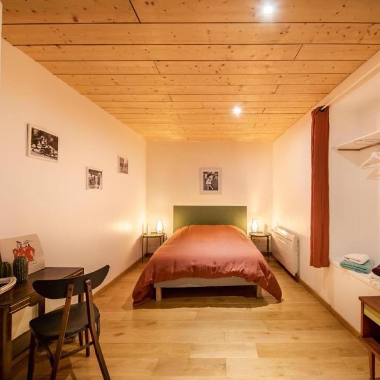 Le Flow - un cocon au cœur de Metz - Appartement - 27