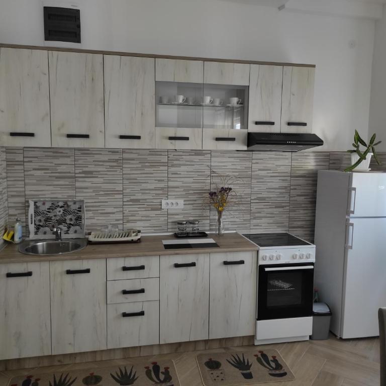 Andrea Airport Apartments - Apartman sa 2 Spavaće Sobe - 23