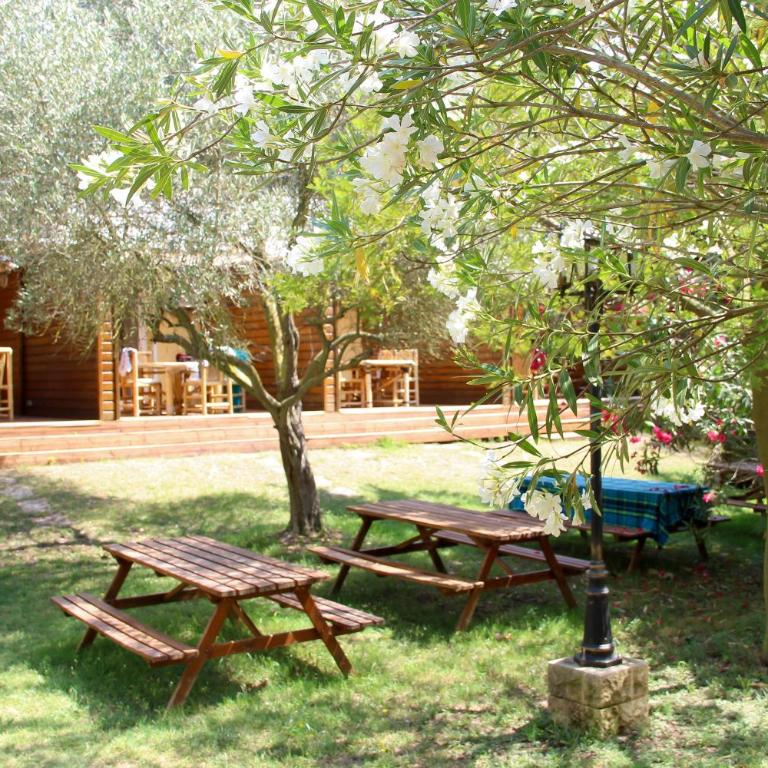 Résidence les Caraibes - Appartement Supérieur - 48