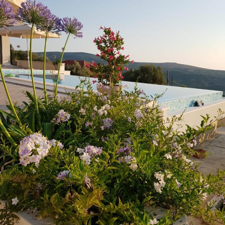 Verbalj apartment with swimming pool - Apartman sa 1 Spavaćom Sobom - 68