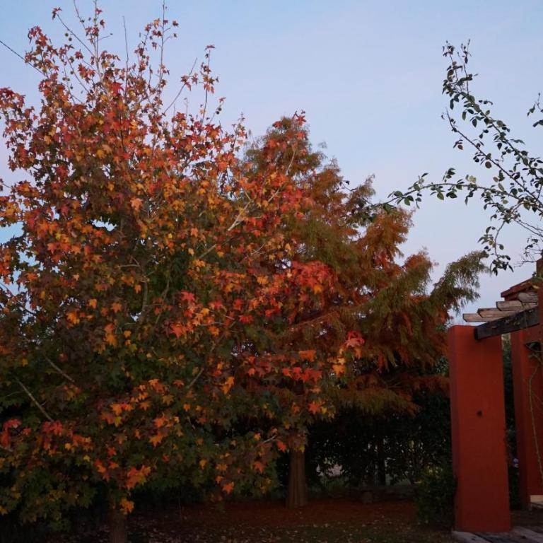 La Colorada - Casa Unifamiliar de 3 dormitorios - 28