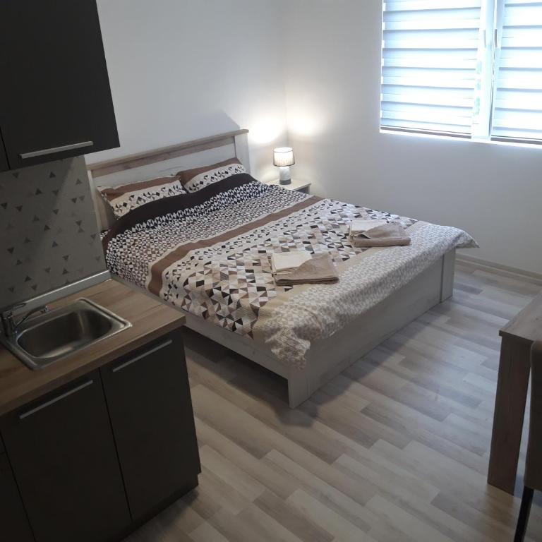 Studio north star - One-Bedroom Apartment - 1