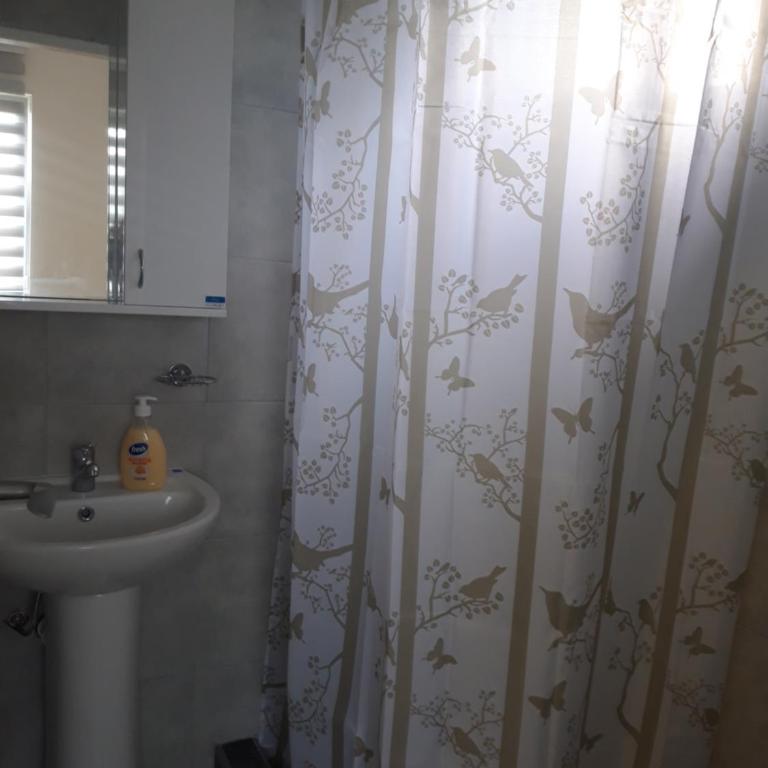 Studio north star - One-Bedroom Apartment - 4