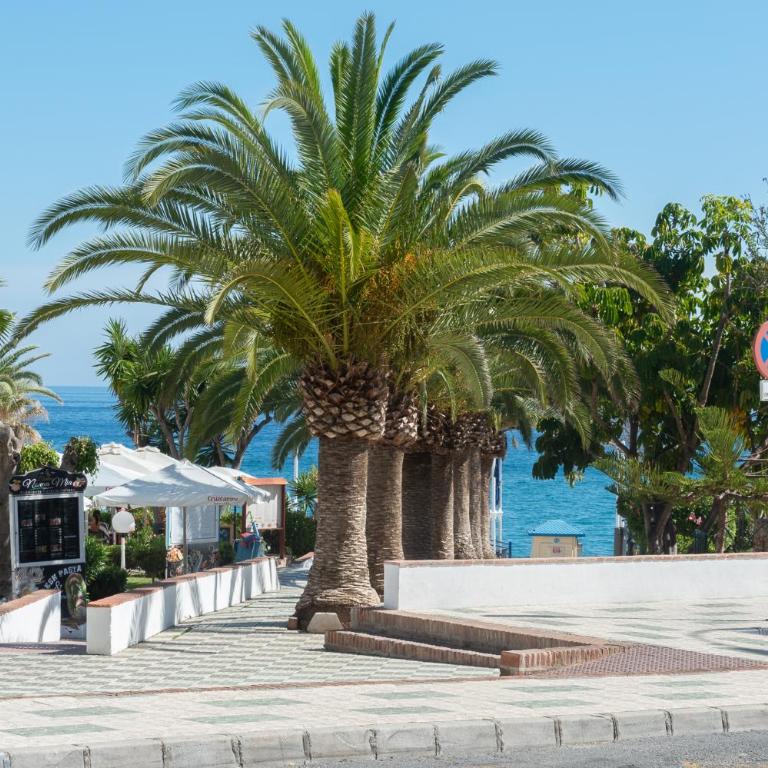 Cozy apartment next to the beach and Nerja center - Apartamento de 1 dormitorio - 21