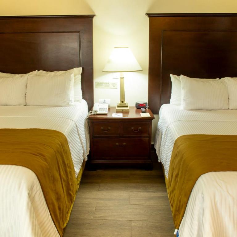 Hotel Plaza Calzada - Double Room with Two Double Beds - Non-Smoking - 5