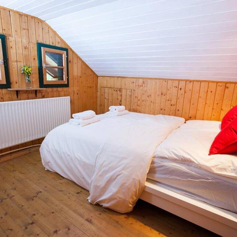 Ski- und Sommer-Chalet für 10 Personen in Dienten am Hochkönig - Chalet - 11