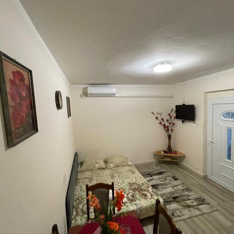 Apartmani Miro Trebinje - Apartman sa 1 Spavaćom Sobom - 5