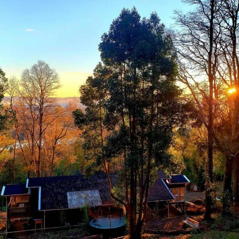 LA CASA EN EL BOSQUE con vista al Río - Apartamento de 4 habitaciones - 44