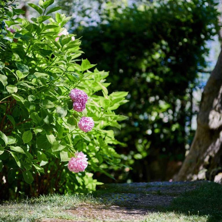 Apartments in Malcesine - Gardasee 22016 - Appartamento - 14