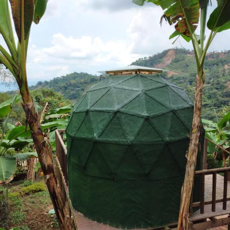 Paraíso Glamping La Vega - Double Room with Mountain View - 7