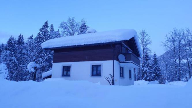 Alviera Ferienhaus - Ferienhaus - 1