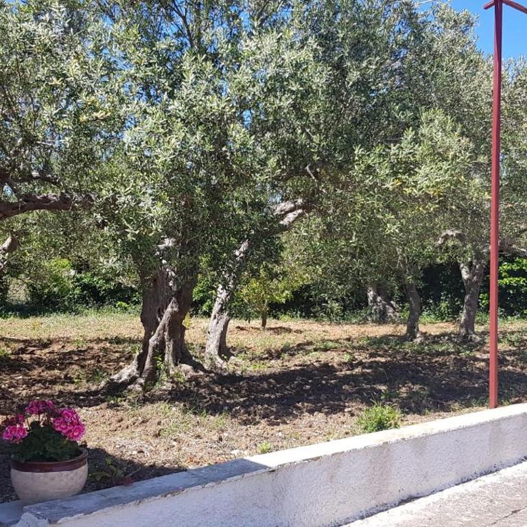 Villa Andrea - Villa con 3 Camere da Letto - 16