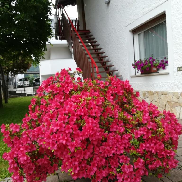 Casa Valcanover - Appartamento con Vista Lago - 6