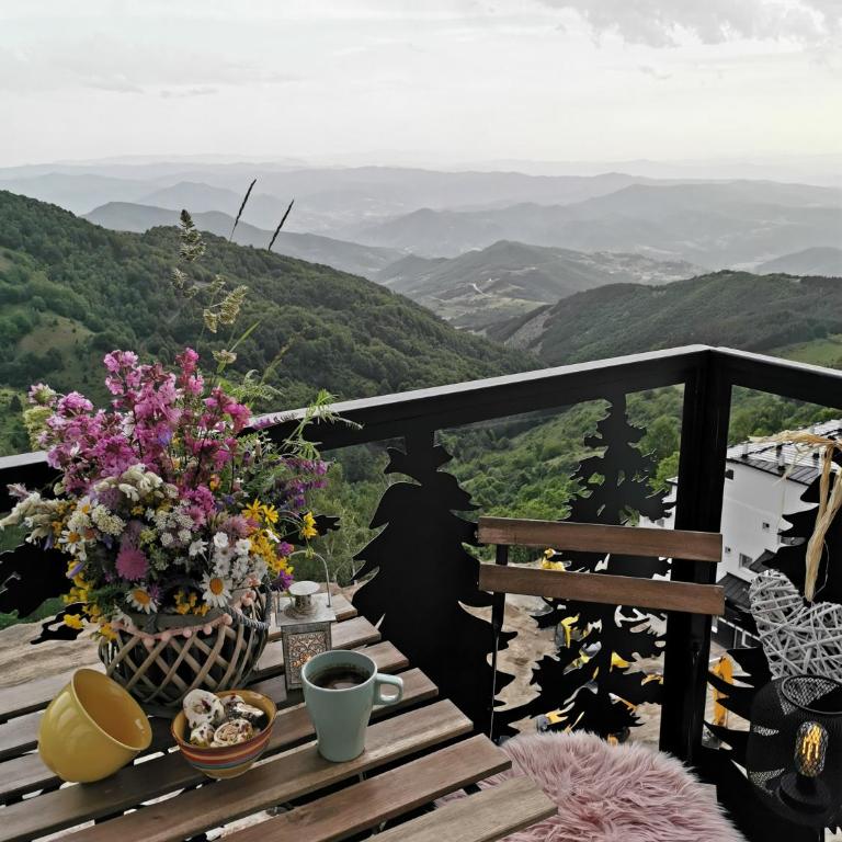 Apartmani TIM & SPA CENTAR - Studio with Mountain View - 12