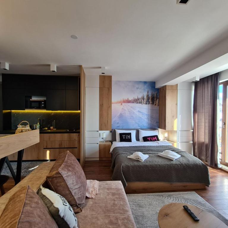 Apartmani TIM & SPA CENTAR - Studio with Mountain View - 16