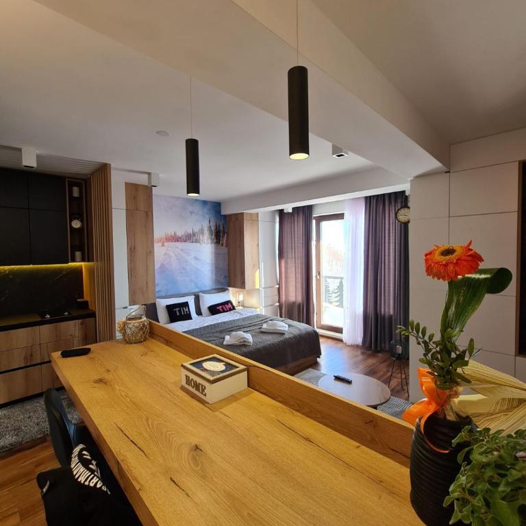 Apartmani TIM & SPA CENTAR - Studio with Mountain View - 14